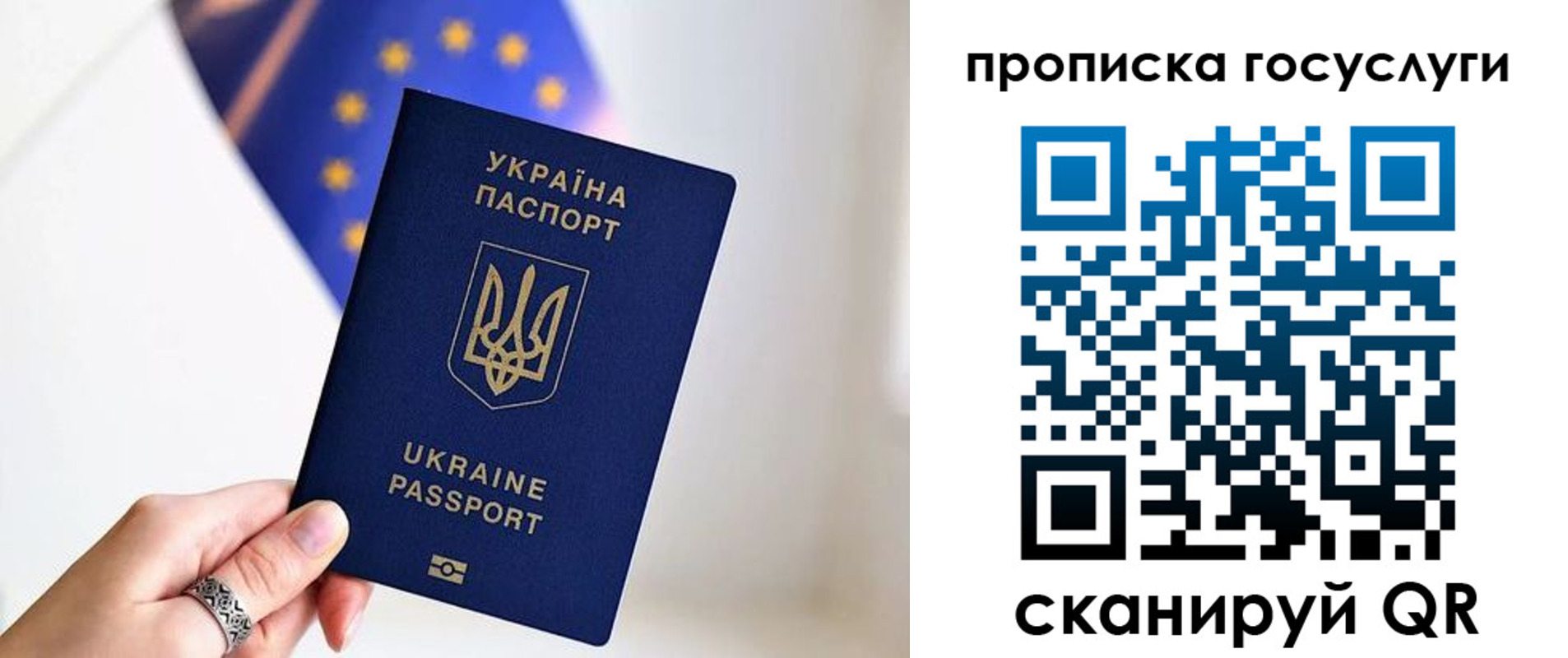 временная регистрация для всех в Дубне